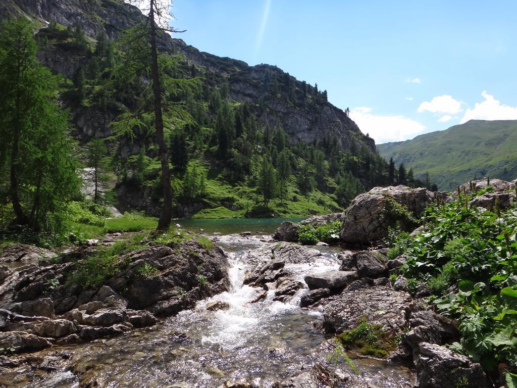 Ausserraingut Флахау Екстериор снимка